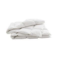 Duvet d'oie Billerbeck Swiss Dream Caro medium