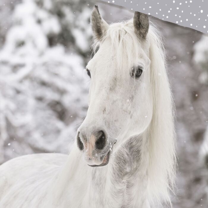 Parure de lit avec cheval dans la neige