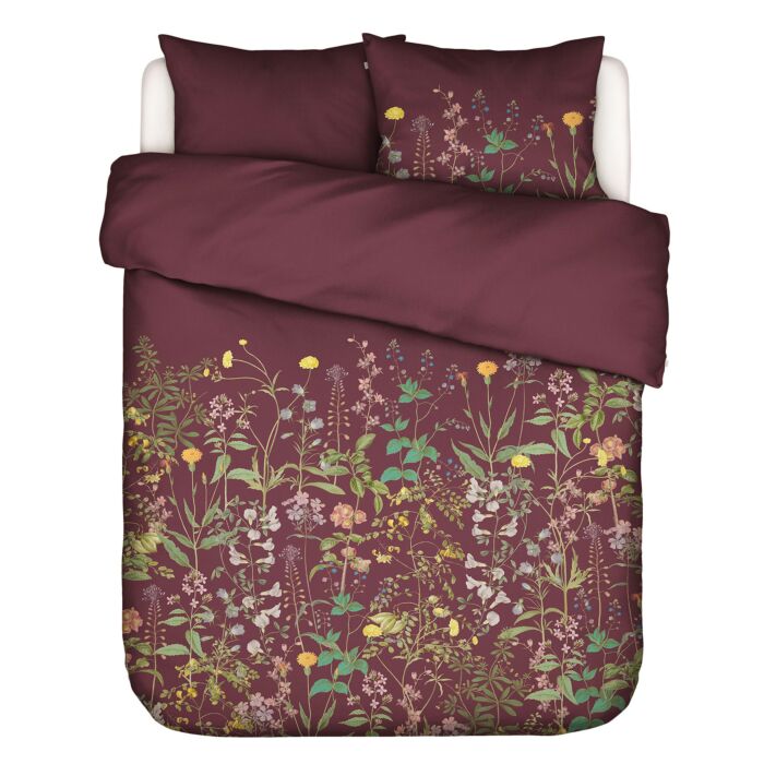 Parure de lit ESSENZA Augustina main product photo