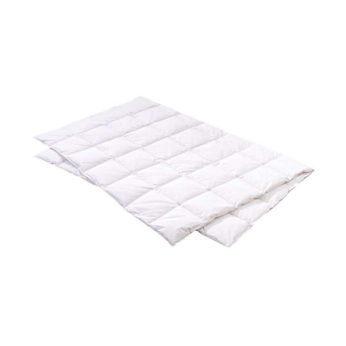 Duvet léger Swiss Edition 90 light by Billerbeck