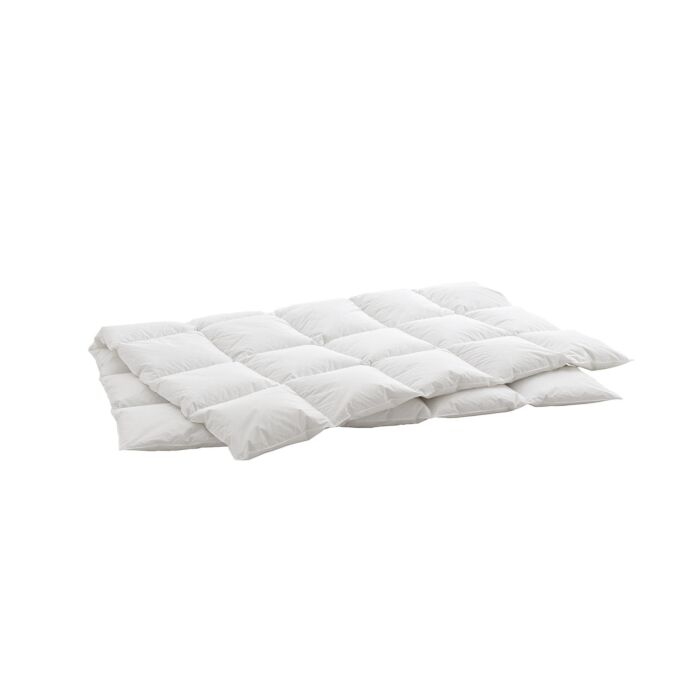 Duvet d'oie Billerbeck Swiss Dream Cosy