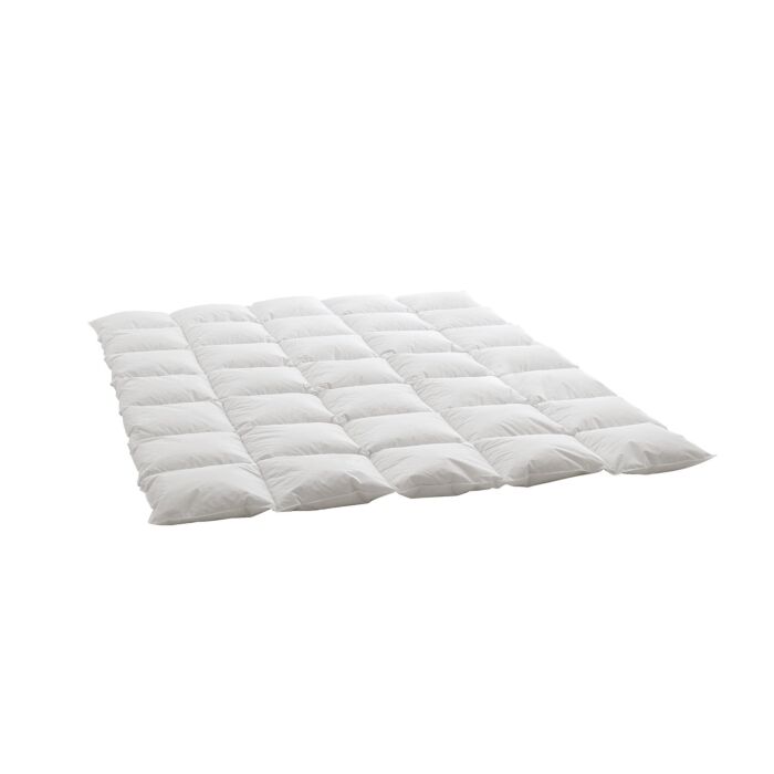 Duvet d'oie Billerbeck Swiss Dream Cosy