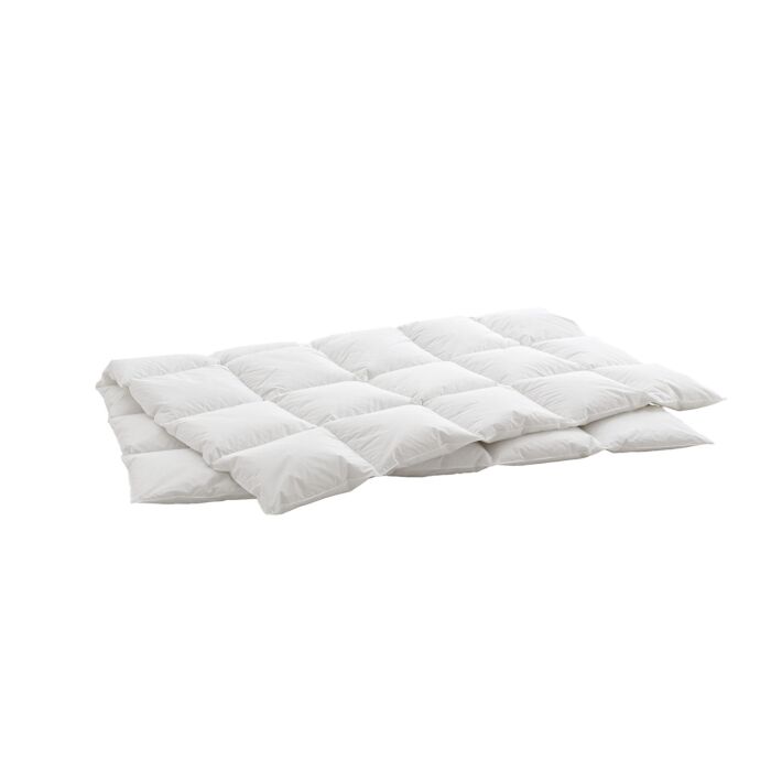 Duvet d'oie Billerbeck Swiss Dream Caro medium