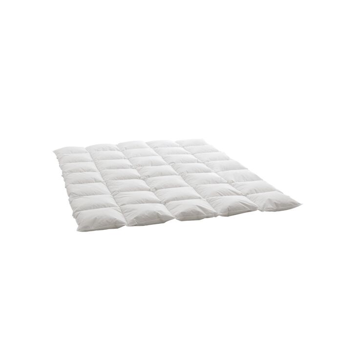 Duvet d'oie Billerbeck Swiss Dream Caro medium